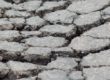 asphalt alligator cracking due to high pressure and water intrusion
